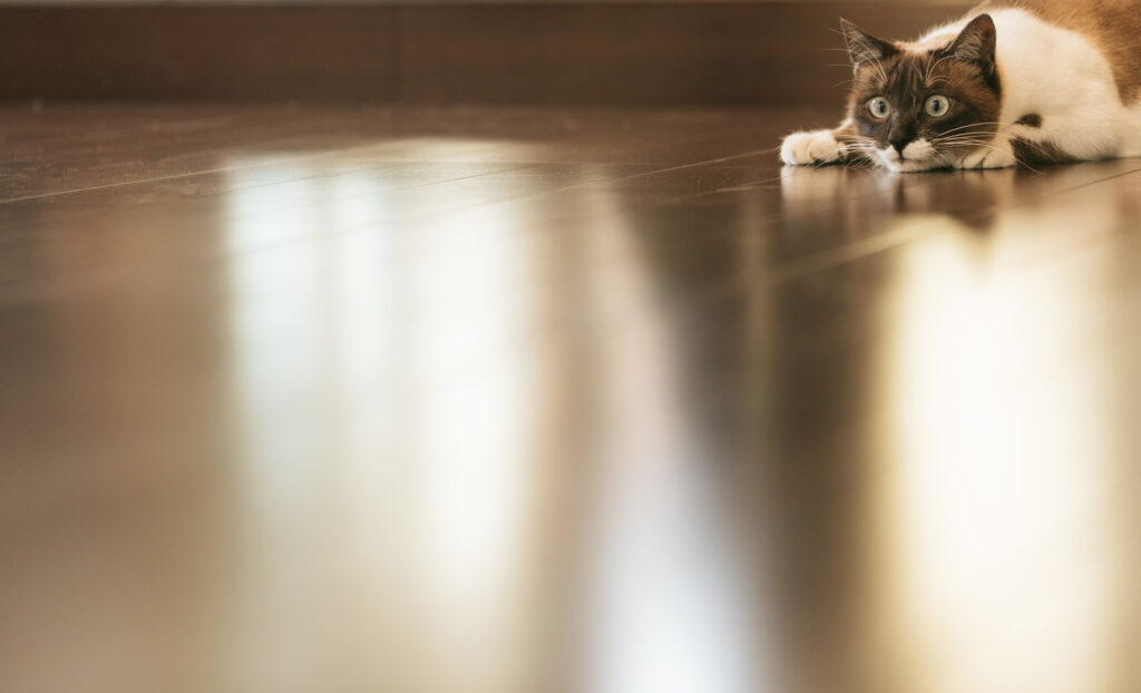 温水式の床暖房の仕組み【メリットとデメリットも解説】