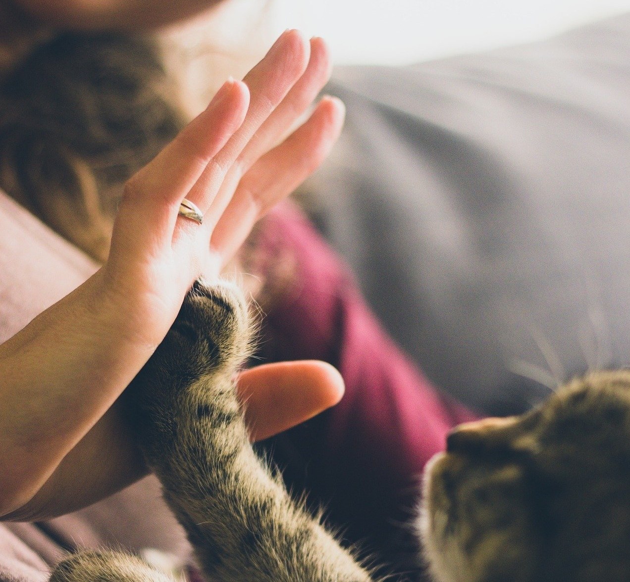 【未経験者向け】CADオペレーターの志望動機【5ステップで解説】