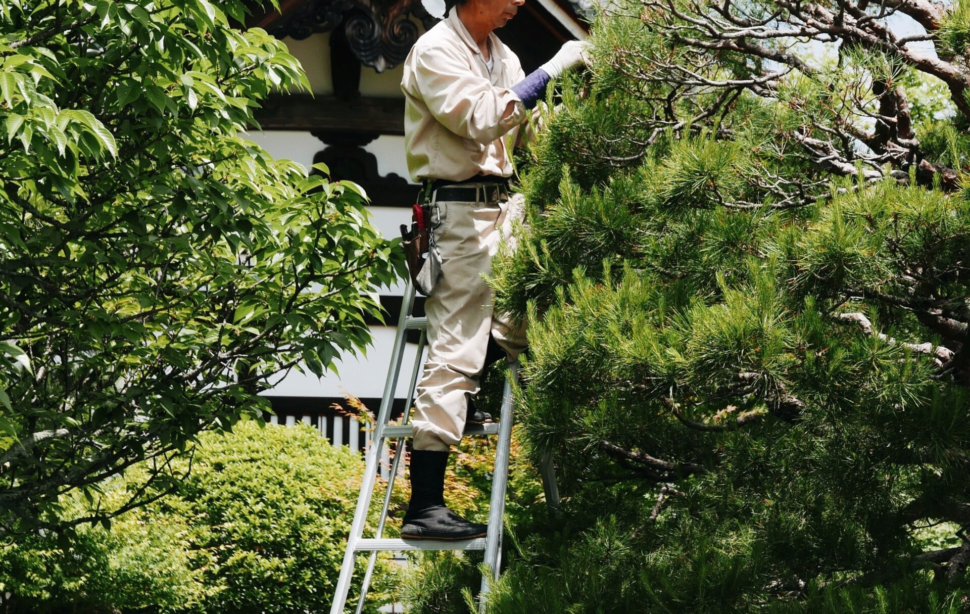 造園技能士とは庭師の国家資格のようなもの【仕事内容も解説】