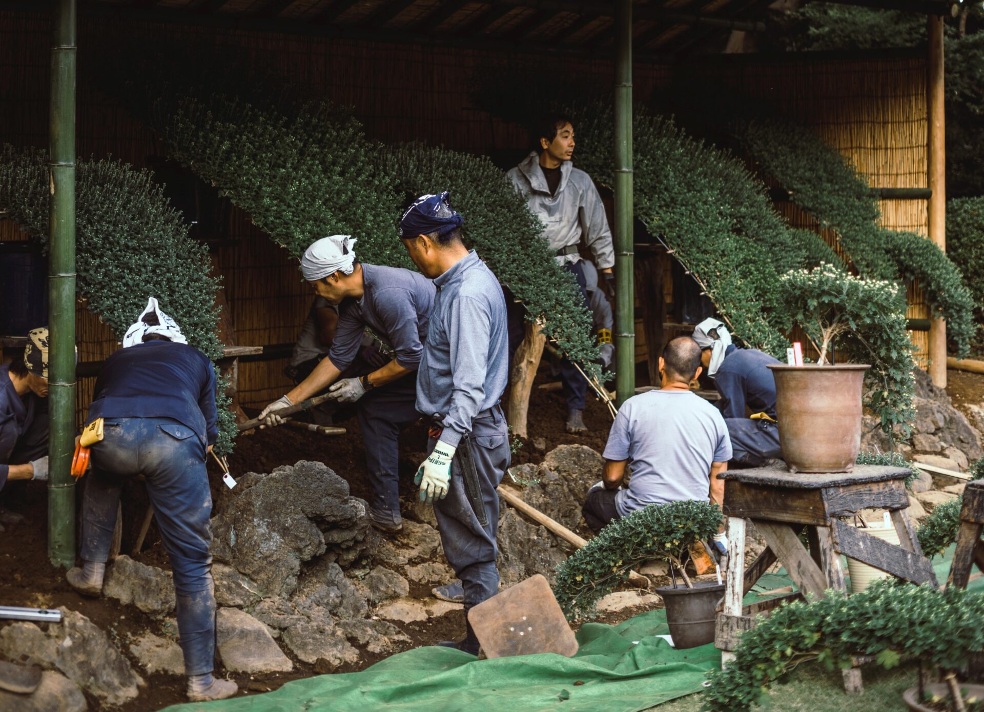 あなたは造園技能士と造園施工管理技士のどっちに向いてる人か診断