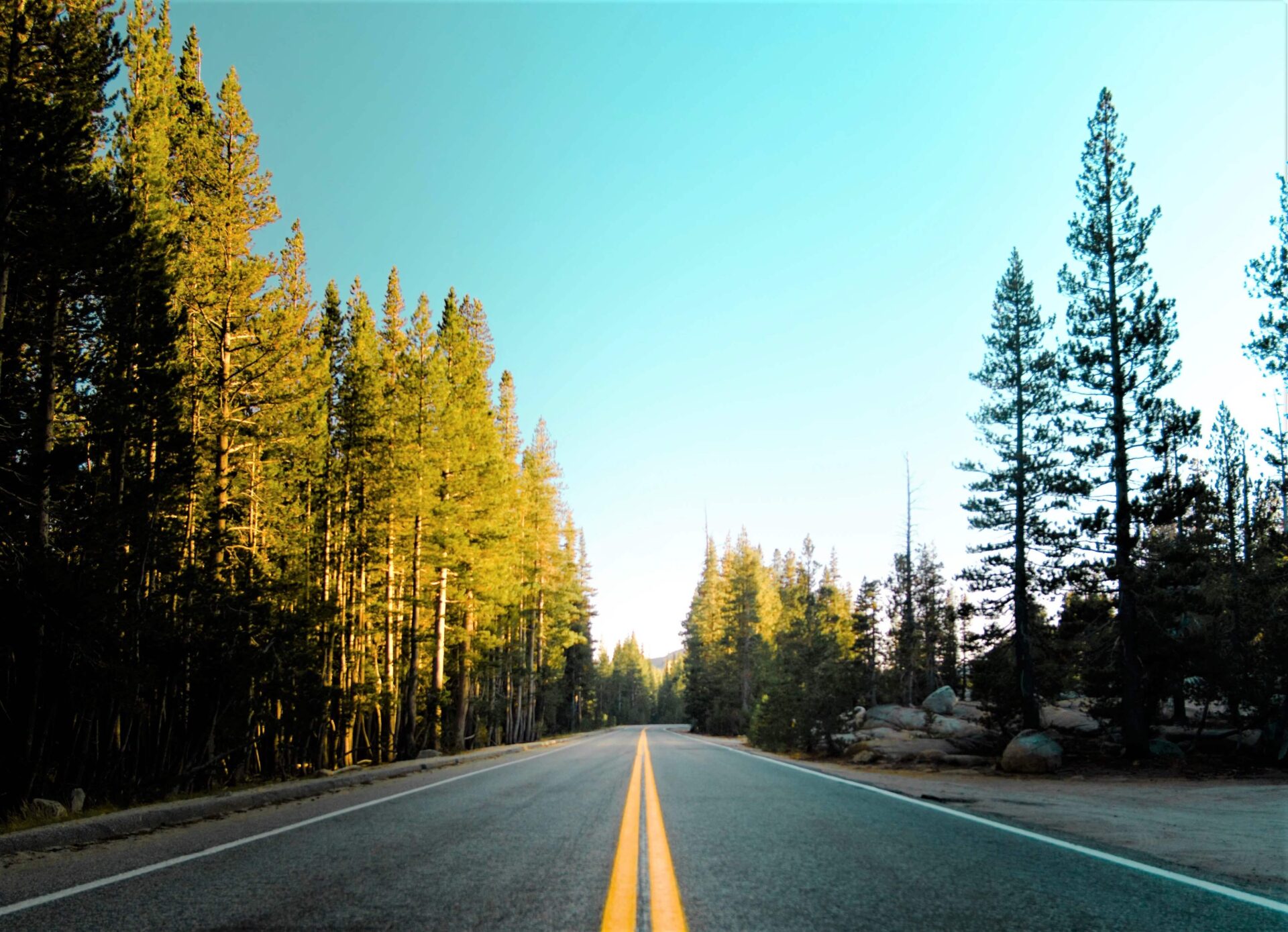 まとめ【土木設計の仕事内容を理解して就職に向けて動き出そう】